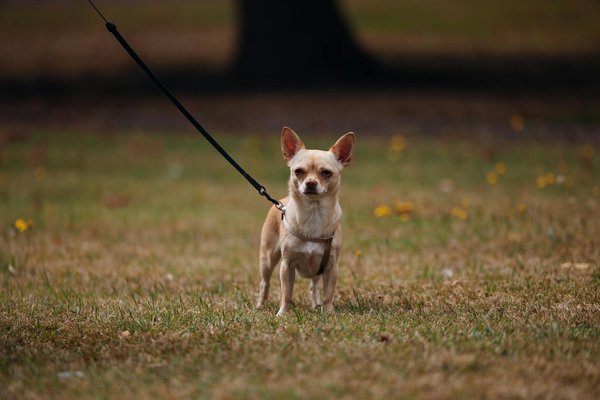 So finden sie schnell kontakt und adressen in deutschland