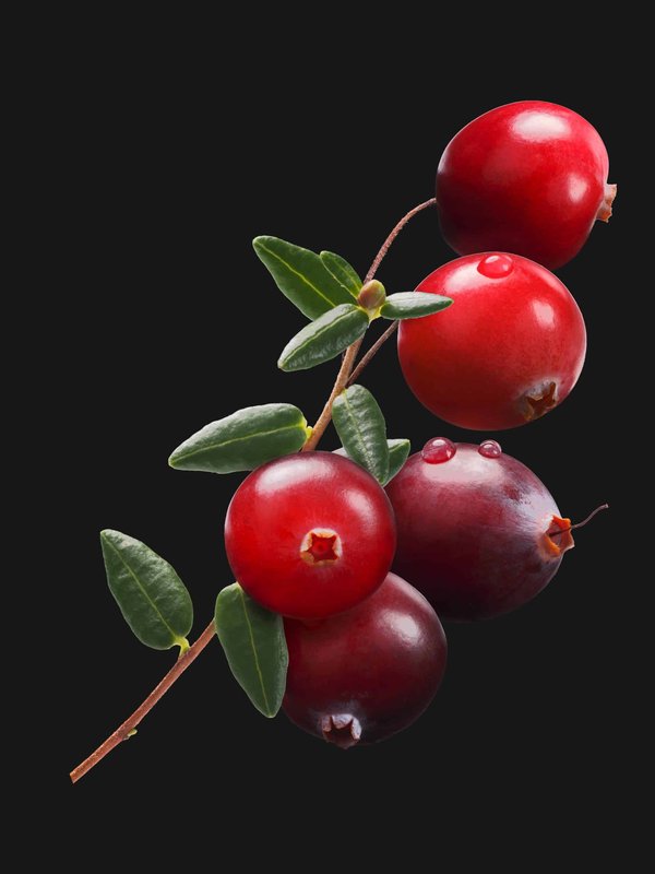 Was sind die besten Tipps für das Tragen von Lagenlooks im Winter?